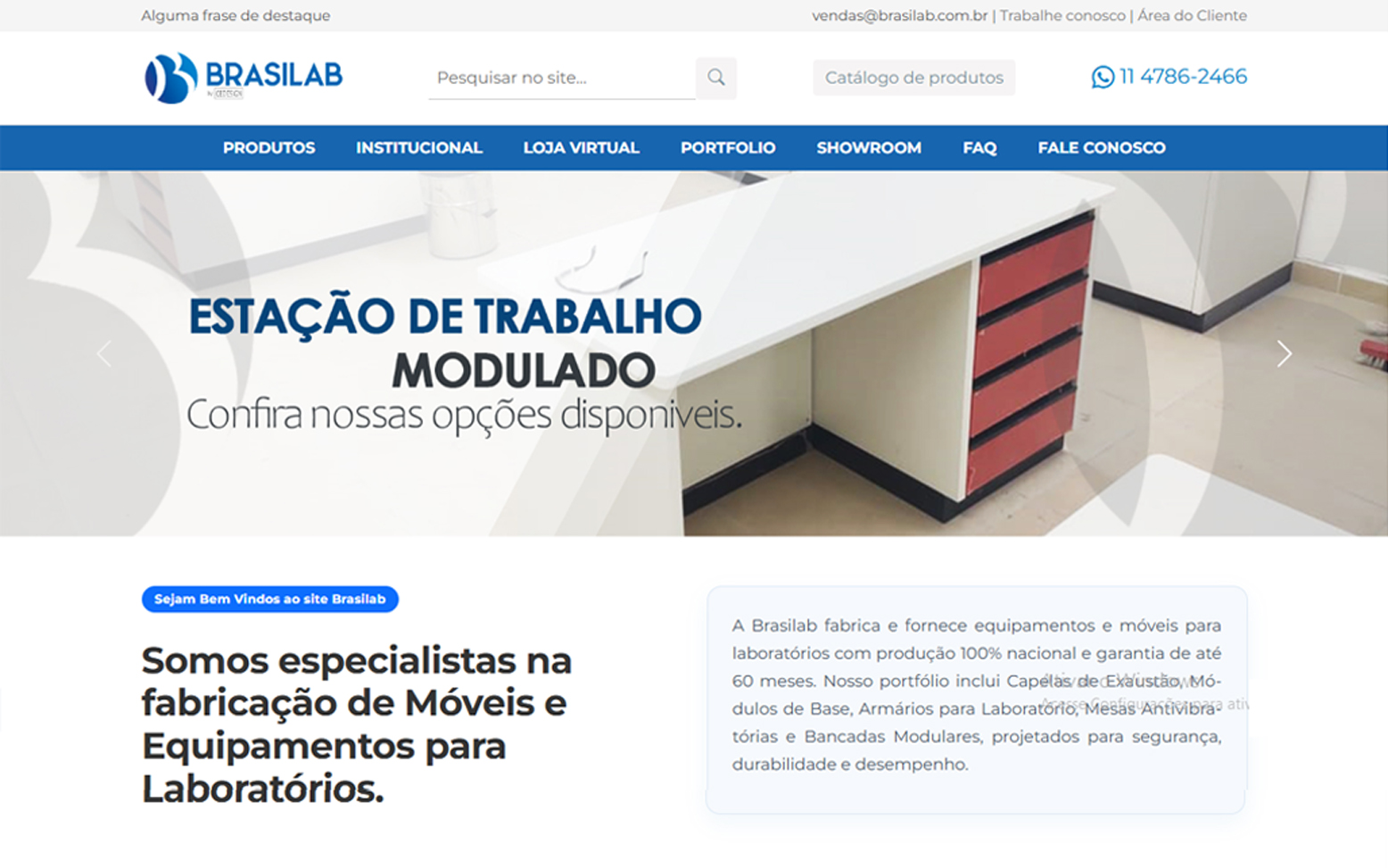 Web Design - Brasilab